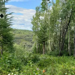 Bear Mountain Nordic Ski Club - Fort St John