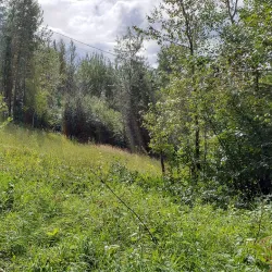 Bear Mountain Nordic Ski Club - Fort St John