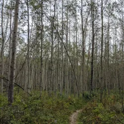Charlie Lake Provincial Park - Fort St John