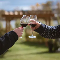 Northern Lights Estate Winery - Fort St John