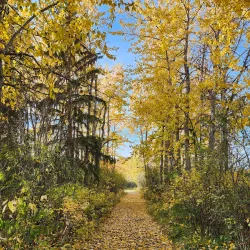 Peace Island Park - Fort St John