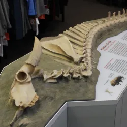 Peace River Regional District Visitor Centre - Fort St John