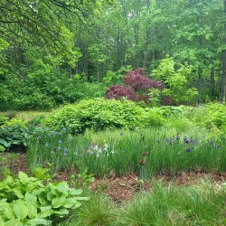 Fredericton Botanic Garden - Fredericton