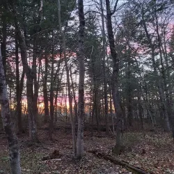 Fredericton Botanic Garden - Fredericton