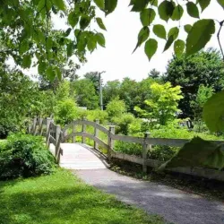 Odell Park - Fredericton