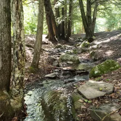 Odell Park - Fredericton
