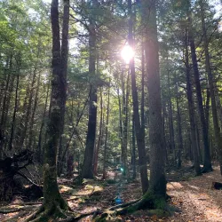 Odell Park - Fredericton