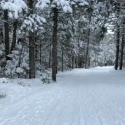 Odell Park - Fredericton