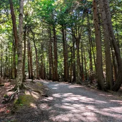 Odell Park - Fredericton