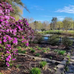 Odell Park - Fredericton