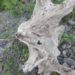 Saint John River Waterfront - Fredericton