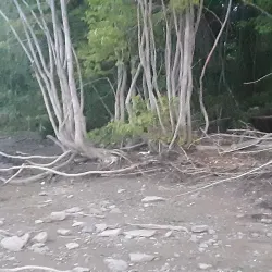 Saint John River Waterfront - Fredericton