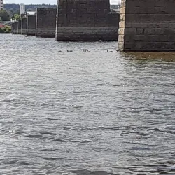 Saint John River Waterfront - Fredericton
