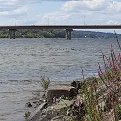 Saint John River Waterfront - Fredericton