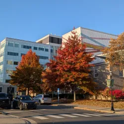 The Playhouse - Fredericton