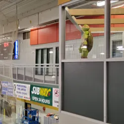 Alexander Memorial Arena - Gander