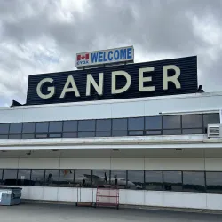 Gander Farmers Market - Gander