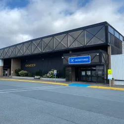 Gander Farmers Market - Gander