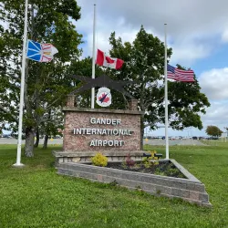 Gander Farmers Market - Gander
