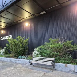 Gander Farmers Market - Gander