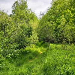 Gander Heritage Trail - Gander