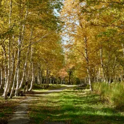 Gander Heritage Trail - Gander