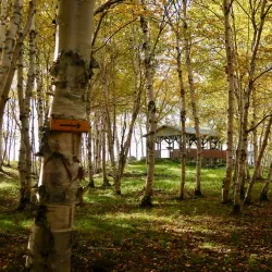 Gander Heritage Trail - Gander