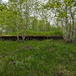 Gander Heritage Trail - Gander