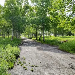 Gander Heritage Trail - Gander