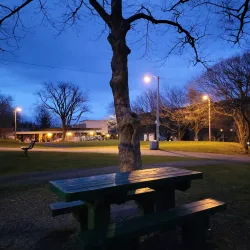 Victoria Park - Gander