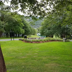 Victoria Park - Gander