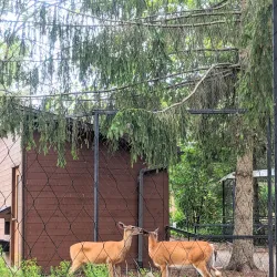 Ecomuseum Zoo - Gatineau