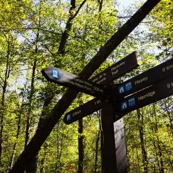 Gatineau Park - Gatineau