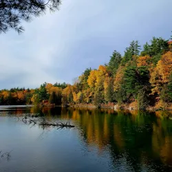 Gatineau Park - Gatineau