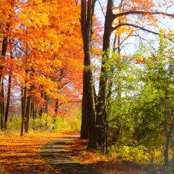 Gatineau Park - Gatineau