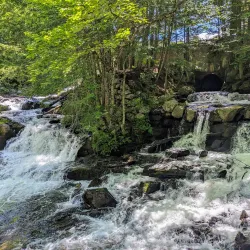 Gatineau Park - Gatineau