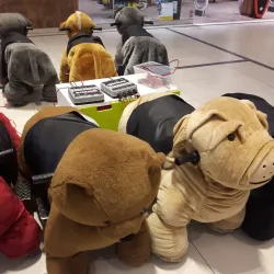 Les Promenades Gatineau - Gatineau