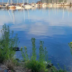 Gibsons Community Centre - Gibsons