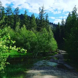 Roberts Creek Beach - Gibsons