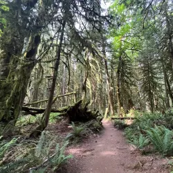 Sechelt Heritage Forest - Gibsons
