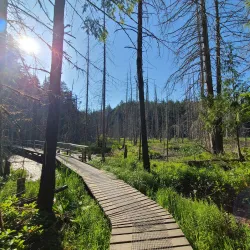 Smuggler Cove Marine Provincial Park - Gibsons
