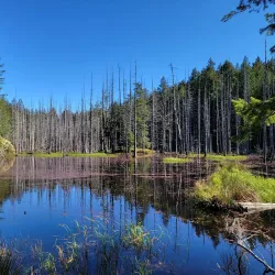 Smuggler Cove Marine Provincial Park - Gibsons