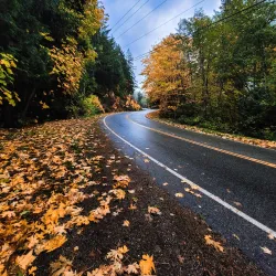 Sunshine Coast Trail - Gibsons