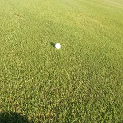 Gimli Golf Club - Gimli