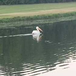 Gimli Golf Club - Gimli