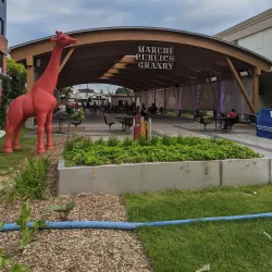 Granby Farmers' Market (Marché Public de Granby) - Granby