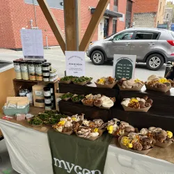 Granby Farmers' Market (Marché Public de Granby) - Granby