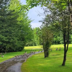 Granby Golf Club - Granby