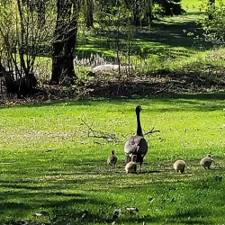 Granby Golf Club - Granby