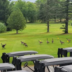 Granby Golf Club - Granby